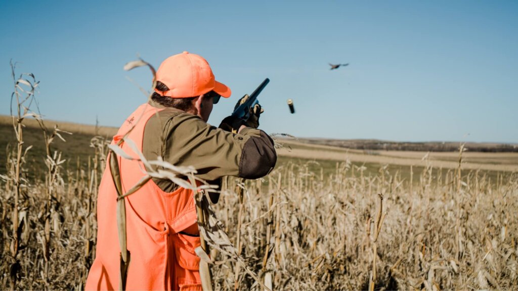 Hunter Pheasant Hunting in Winner, South Dakota